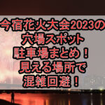 今宿花火大会2026の穴場スポット･駐車場まとめ！見える場所で混雑回避！