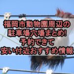 福岡市動物園周辺の駐車場穴場まとめ!予約できて安い付近おすすめ情報