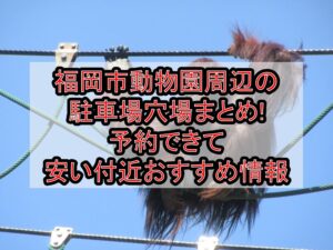 福岡市動物園周辺の駐車場穴場まとめ!予約できて安い付近おすすめ情報