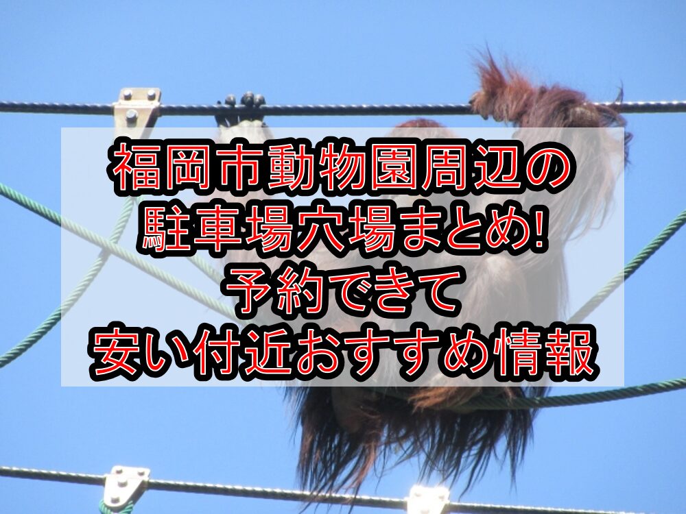 福岡市動物園周辺の駐車場穴場まとめ!予約できて安い付近おすすめ情報