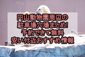 円山動物園周辺の駐車場穴場まとめ!予約できて無料･安い付近おすすめ情報