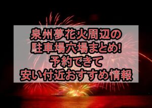 泉州夢花火周辺の駐車場穴場まとめ!予約できて安い付近おすすめ情報