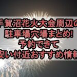 手賀沼花火大会2025周辺の駐車場穴場9選!予約できて安い付近おすすめ情報