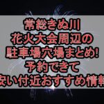 常総きぬ川花火大会周辺の駐車場穴場まとめ!予約できて安い付近おすすめ情報