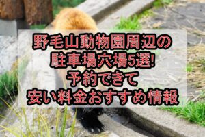 野毛山動物園周辺の駐車場穴場5選!予約できて安い料金おすすめ情報