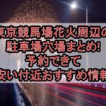 東京競馬場花火周辺の駐車場穴場まとめ!予約できて安い付近おすすめ情報