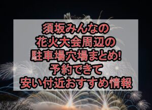 須坂みんなの花火大会周辺の駐車場穴場まとめ!予約できて安い付近おすすめ情報