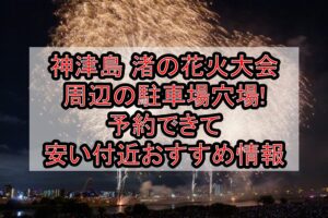 神津島渚の花火大会周辺の駐車場穴場まとめ!予約できて安い付近おすすめ情報