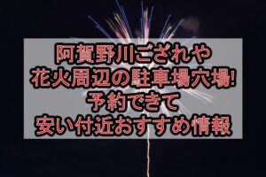 阿賀野川ござれや花火周辺の駐車場穴場まとめ!予約できて安い付近おすすめ情報