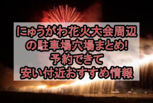 にゅうがわ花火大会周辺の駐車場穴場まとめ!予約できて安い付近おすすめ情報