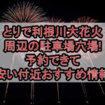 とりで利根川大花火周辺の駐車場穴場まとめ!予約できて安い付近おすすめ情報