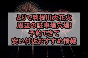とりで利根川大花火周辺の駐車場穴場まとめ!予約できて安い付近おすすめ情報