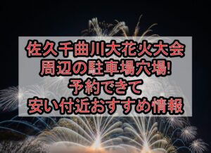 佐久千曲川大花火大会周辺の駐車場穴場まとめ!予約できて安い付近おすすめ情報
