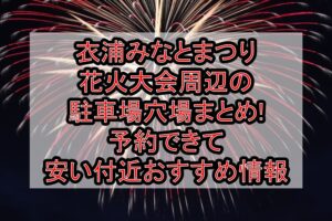 衣浦みなとまつり花火大会周辺の駐車場穴場まとめ!予約できて安い付近おすすめ情報