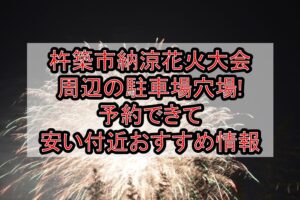 杵築市納涼花火大会周辺の駐車場穴場まとめ!予約できて安い付近おすすめ情報