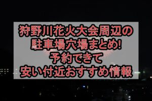 狩野川花火大会周辺の駐車場穴場まとめ!予約できて安い付近おすすめ情報