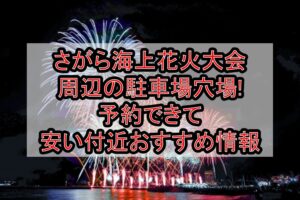 さがら海上花火大会周辺の駐車場穴場まとめ!予約できて安い付近おすすめ情報