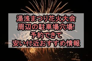 湯浅まつり花火大会周辺の駐車場穴場まとめ!予約できて安い付近おすすめ情報