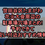 世田谷区たまがわ花火大会周辺の駐車場穴場まとめ!予約できて安い付近おすすめ情報
